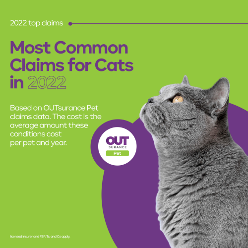 04-OUTsurance-Pet-Info