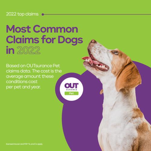 05-OUTsurance-Pet-Info