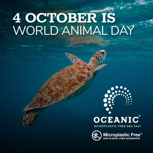 J29527-Oceanic-SM-Oct-Post-01